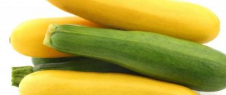 Sebab-sebab penampilan kepahitan di zucchini