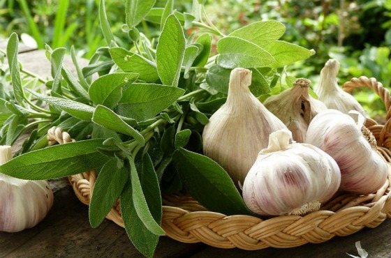 The use of garlic in folk recipes