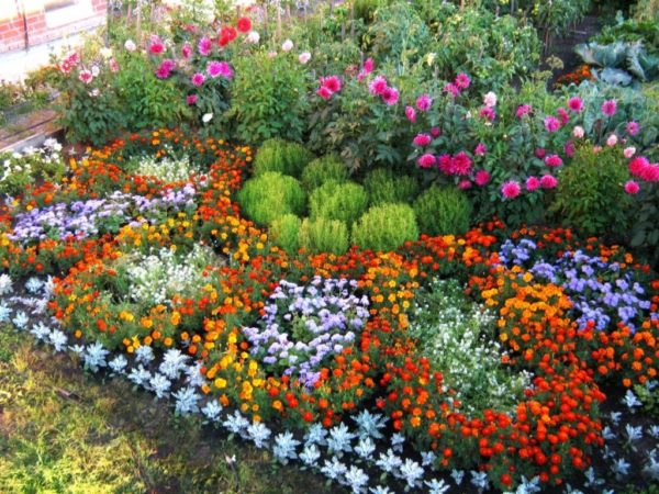 An example of flower bed design