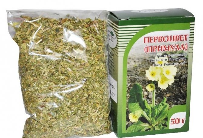Primrose is included in herbal preparations