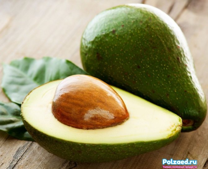 about avocado