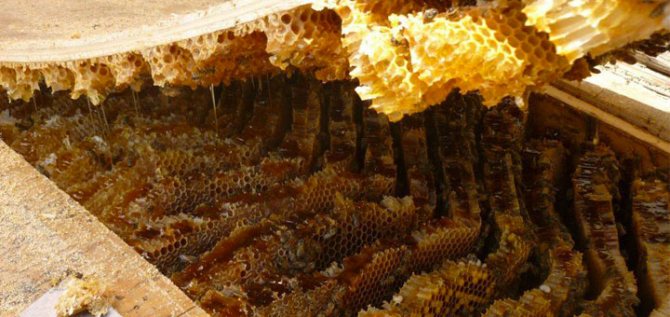 Процес на извличане на мед