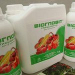 Bioglovit-Produkte