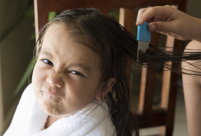 Lice prevention in children