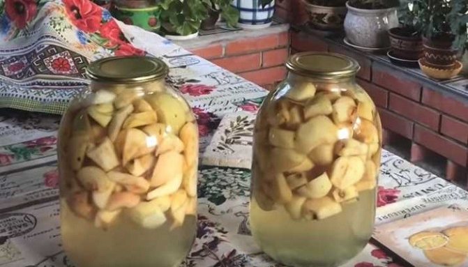 A simple recipe for apple compote for the winter