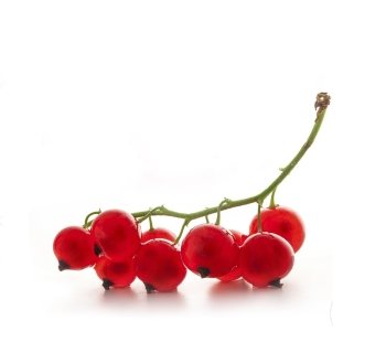 Contraindications for red currant