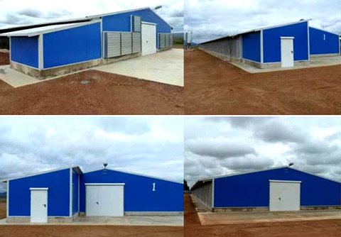 poultry house project