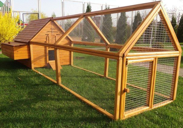 Aviary with an open-air cage