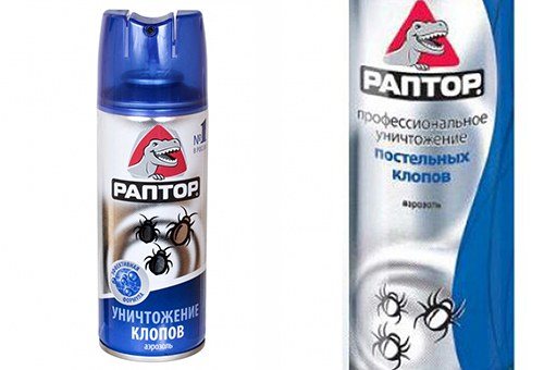 Raptor - aerosol insecticide against bedbugs