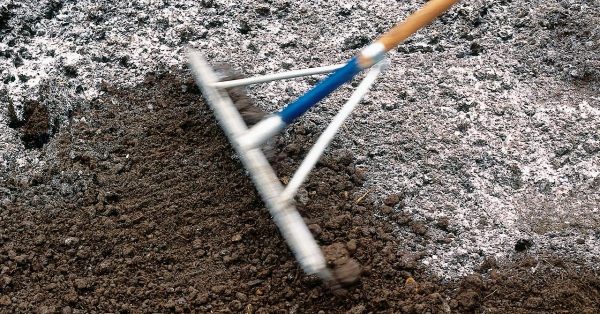 غالبًا ما يتم إجراء إزالة الحموضة من التربة باستخدام الجير