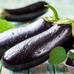 Seedling eggplant