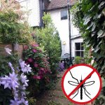 отблъскващи комари растения