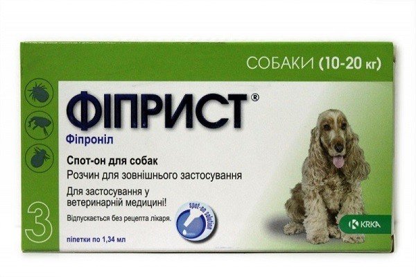 Pulvérisation de solutions contre les tiques chez les chiens