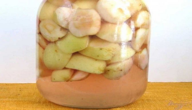 Äppelkompottrecept för vintern med ett foto