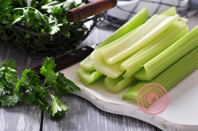 Celery recipes