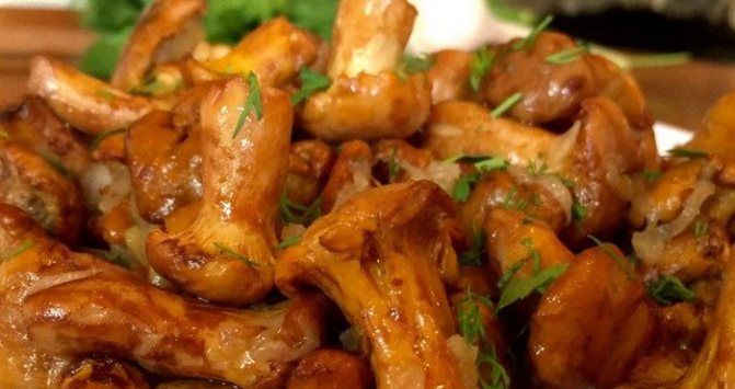 Fried mushroom recipes with onions for garnish and appetizer