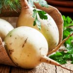 Radish - health benefits and harms, description, composition, useful properties and contraindications