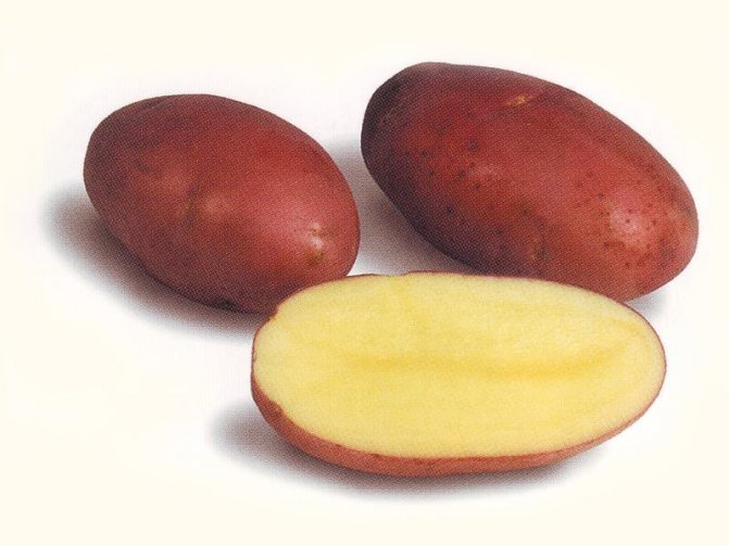 tinadtad na patatas