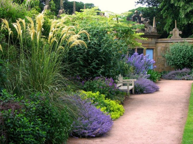 Градина в пейзажен стил снимка