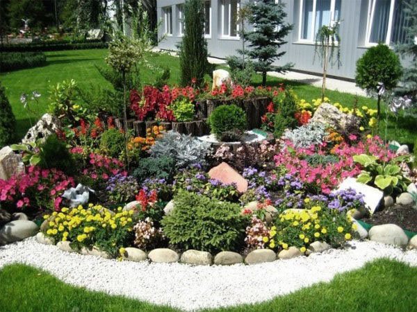 Trädgårdsdesign: plantering och vård av edelweiss