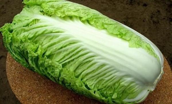 Salad repolyo