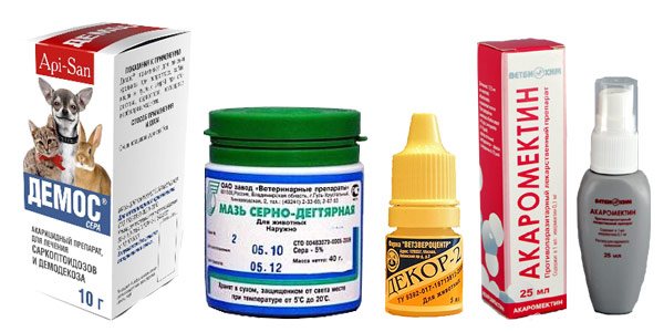 The most effective ointments for ticks mazi_kleshi