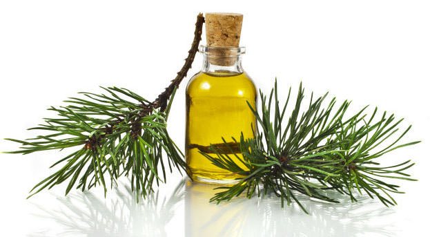 The most valuable and effective oil is considered to be balsamic fir.