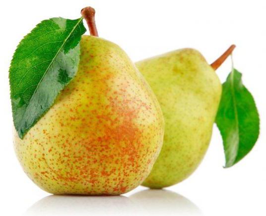 saplings pear varieties for the Leningrad region