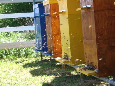 Det finns ett stort antal olika material på marknaden idag, men inte alla är lämpliga för bikupan.