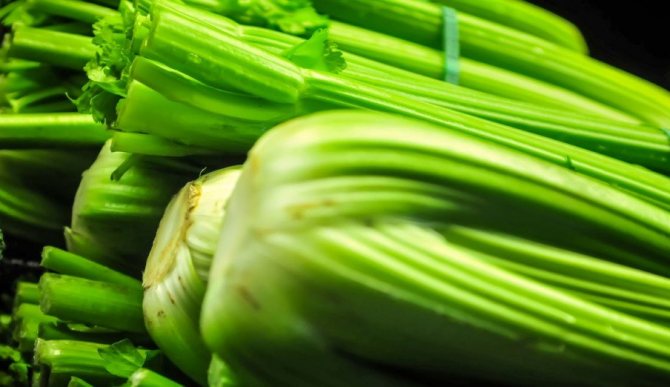 Stalked celery