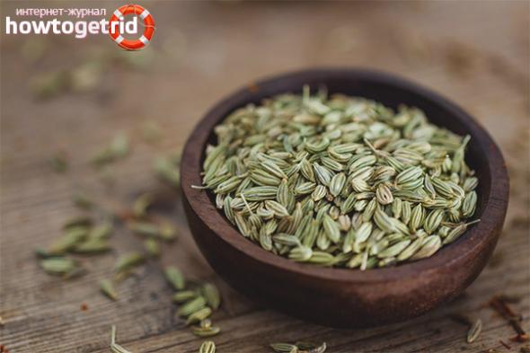 Fennel seeds: beneficial properties and contraindications - ZdavNews