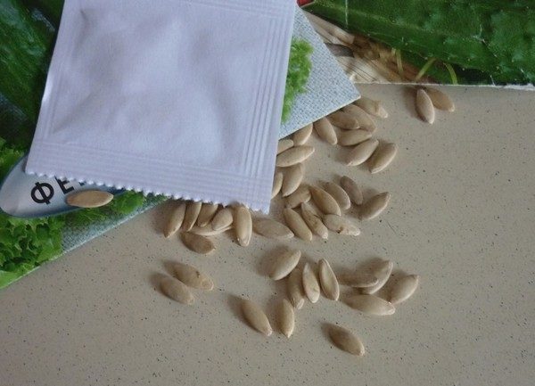 semințe de castraveți