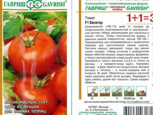 Tomato seeds Evpator F1