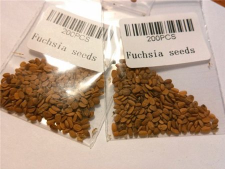 seeds in bags