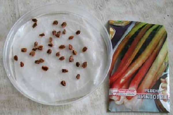 semințe pentru însămânțare