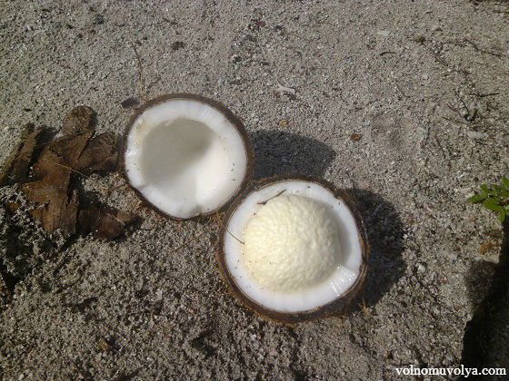 mid-coconut