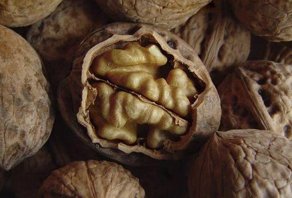 Grey walnut
