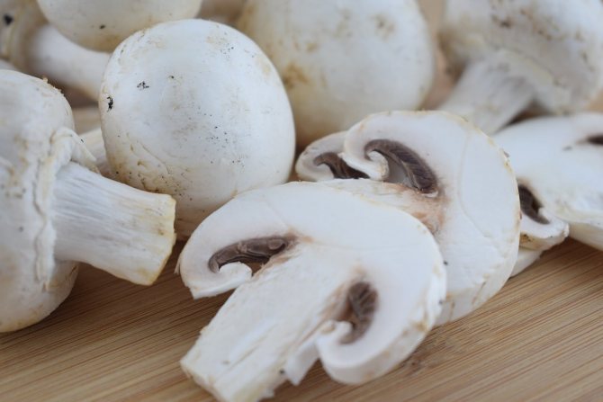 champignons on the table