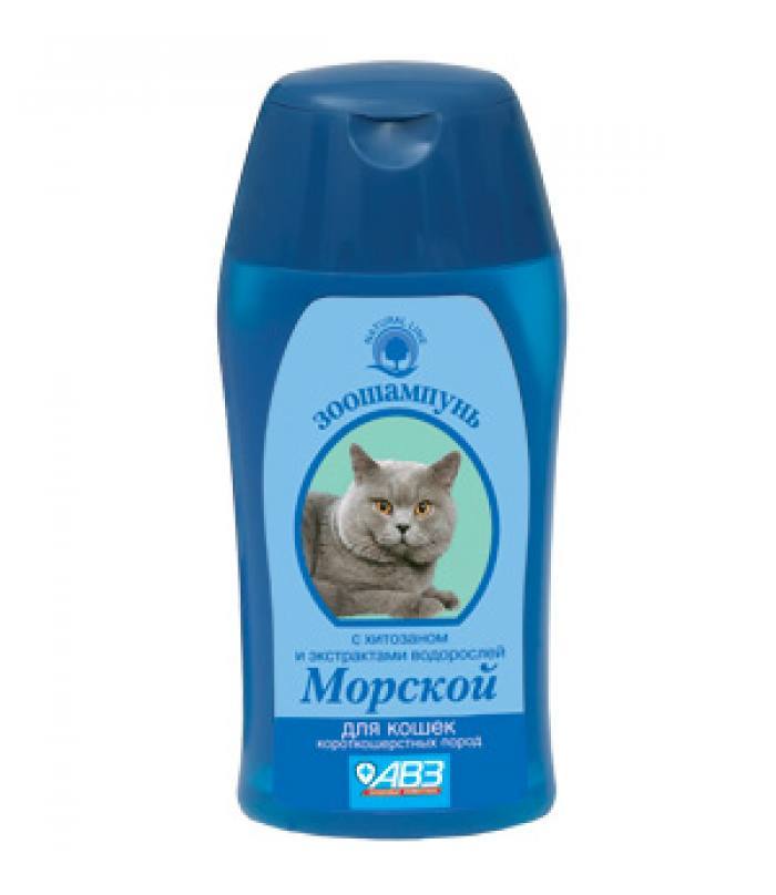 Șampon pentru pisici cu părul scurt.