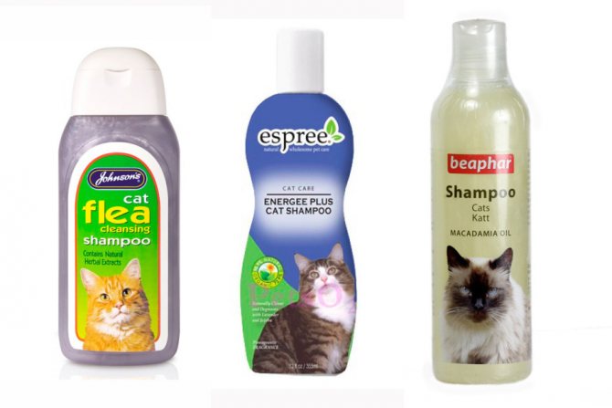 Šampon pro kočky