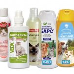 Șampon pentru purici pentru pisici