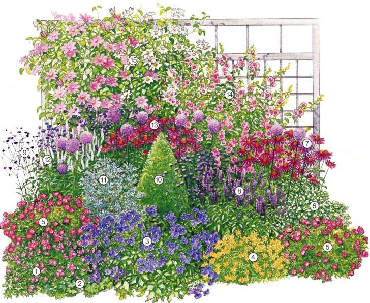 Flower bed planting scheme