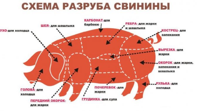 Схема за нарязване на свинско месо