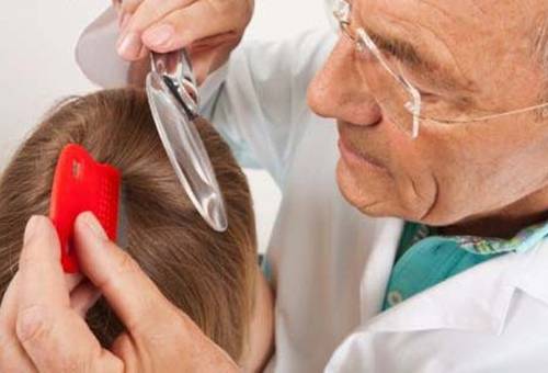 Was sind die Symptome eines Befalls mit Kopfläusen und was sind die Gefahren von Läusen für Menschen?