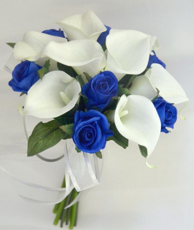 الورود الزرقاء مع البراز