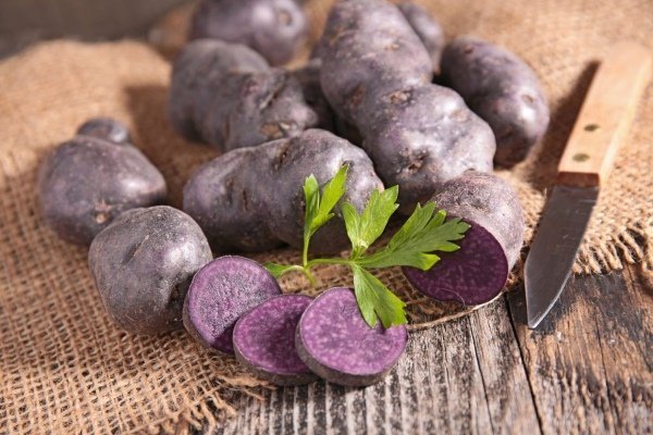 Сините картофи имат полза и вреда - Зеленчукова градина и др