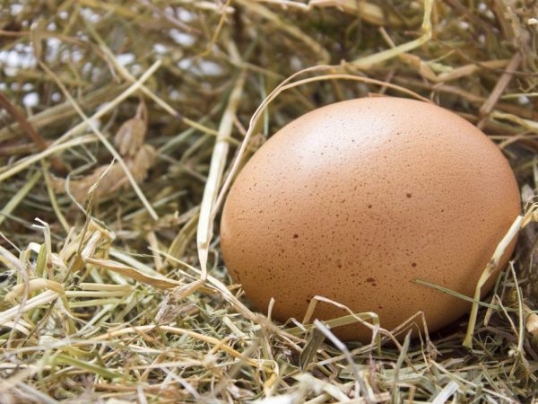 Cât cântărește un ou de pui fără coajă