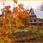 Close the cottage soon. How to prepare a summer cottage for winter: useful tips