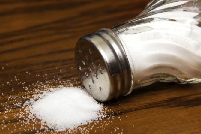 Лъжичка сол