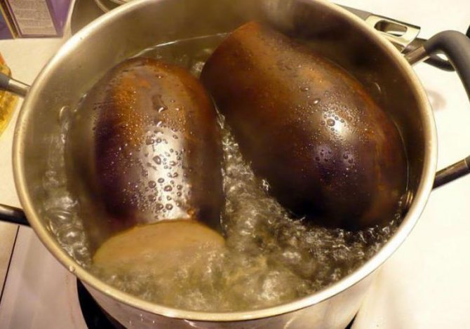 Solanine in Eggplant How to Remove Solanine